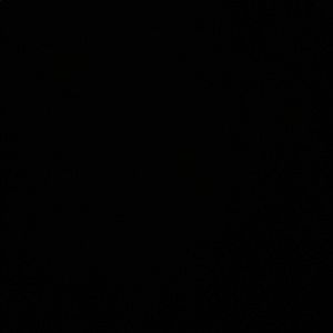 Meet your Posher, Lourdes